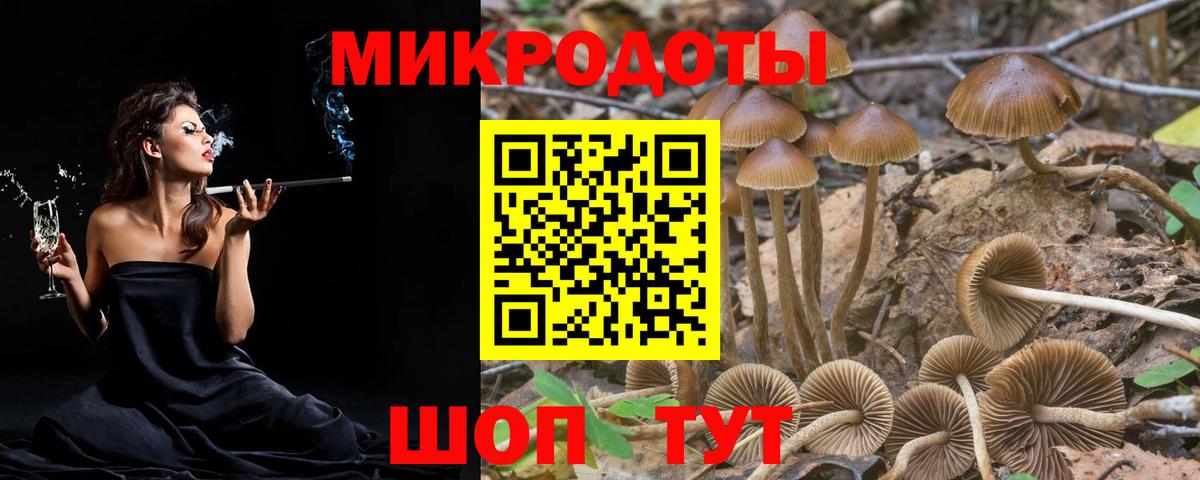 Псилоцибиновые грибы Magic Shrooms Санкт-Петербург